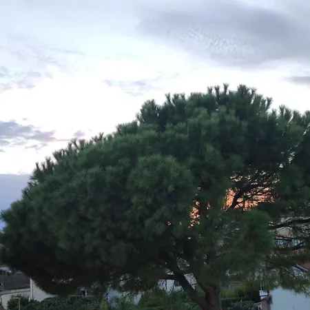 Daire 200 Metri Dal Mare Cirella